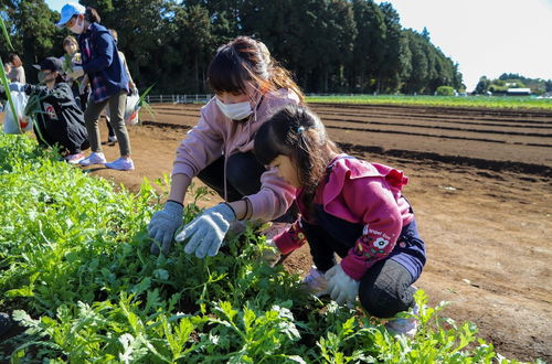 Photo 79 - THE FARM Resort Japan