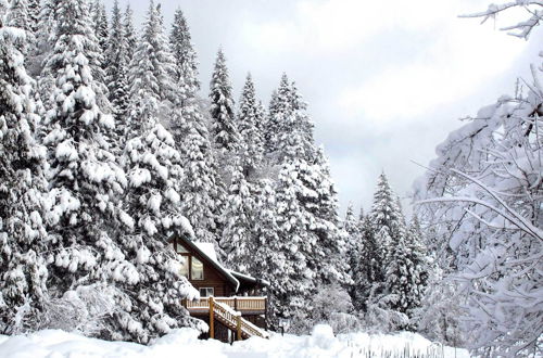 Photo 16 - Log Home on 40 Private Acres By Mt Shasta Ski Park