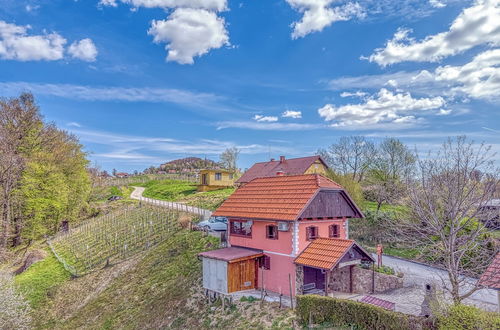 Photo 1 - Vineyard Cottage Vesna Lake View