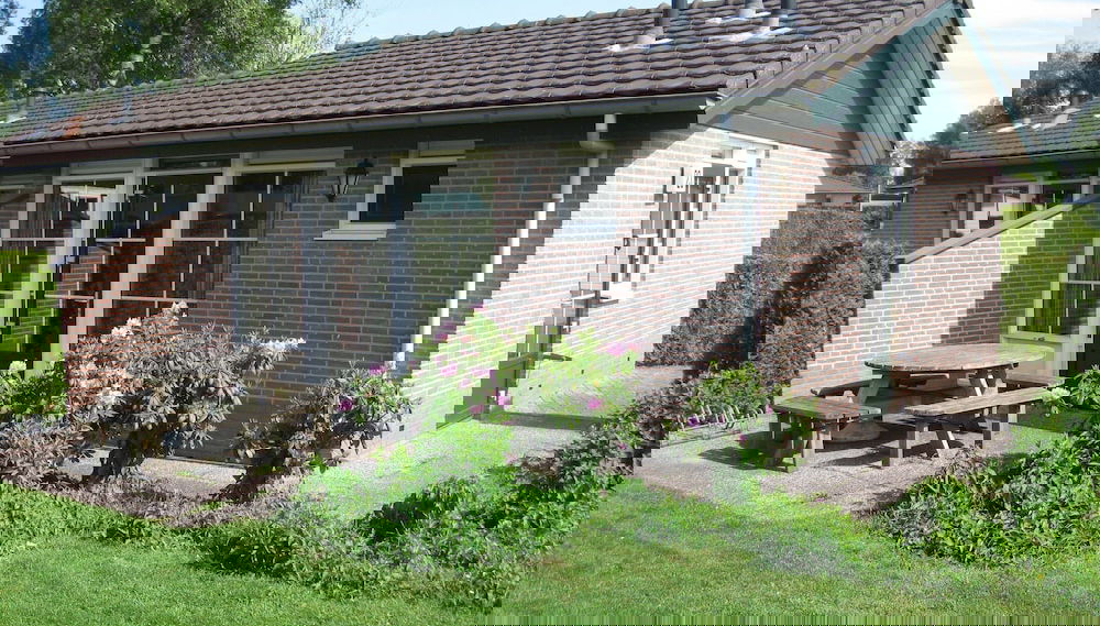 Imagem principal