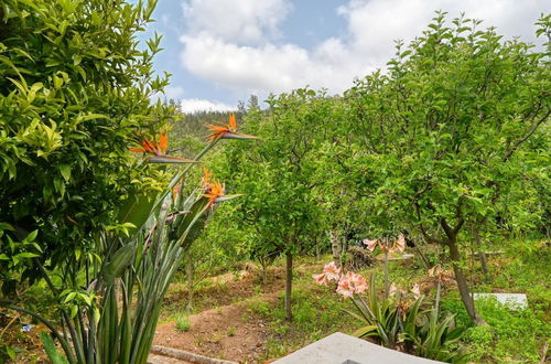 Photo 3 - Chalet da Nogueira a Home in Madeira