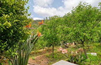 Photo 3 - Chalet da Nogueira a Home in Madeira