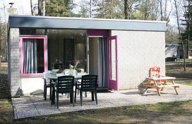 Bungalow With a Tree House box bed on Veluwe - Foto 9