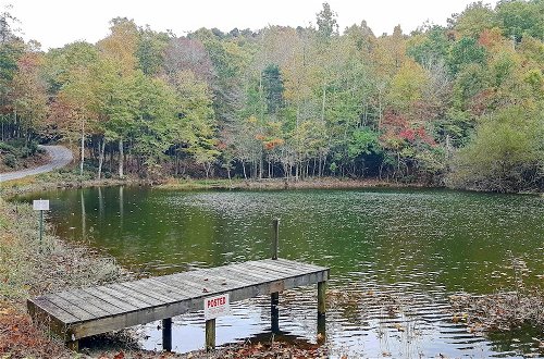 Photo 22 - Secluded Black Mountain Cabin w/ On-site Pond