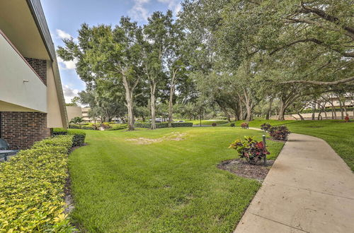 Photo 4 - Sunny Palm Harbor Condo < 4 Mi to Crystal Beach