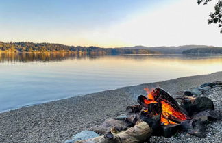 Photo 3 - Dreamy Wooded Cabin With Private Beach & Kayaks