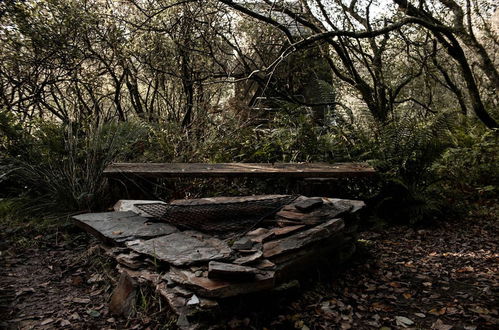 Photo 12 - K2 Kudhva Treehouse Cabin for 2 in Tintagel