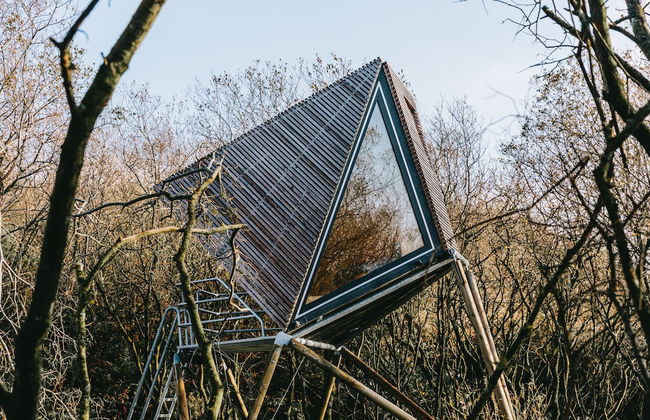 K3 Kudhva Treehouse Cabin in Tintagel - Photo 25