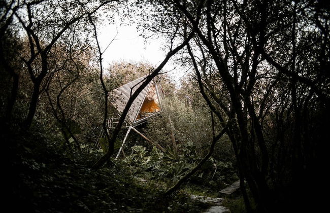 K3 Kudhva Treehouse Cabin in Tintagel - Photo 3