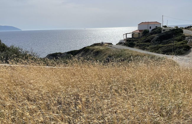 AKROTIRI - Foto 29
