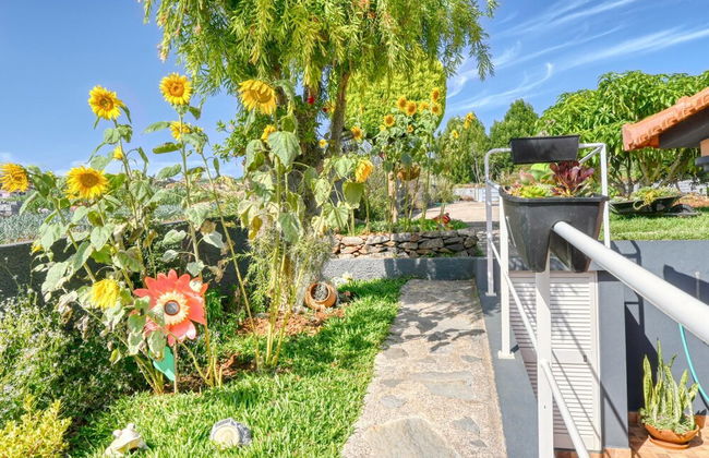 Casa Primavera, a Home in Madeira - Foto 22