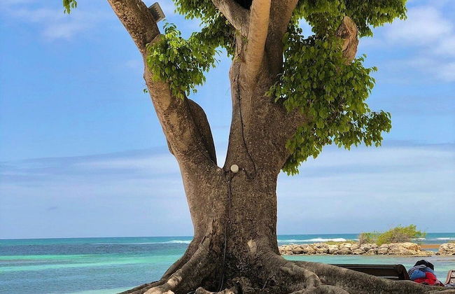 Anse des Rochers Beach & Pool Resort - Foto 13