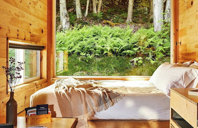 Postcard Cabins Machimoodus, Outdoor Collection by Marriott Bonvoy - Foto 41