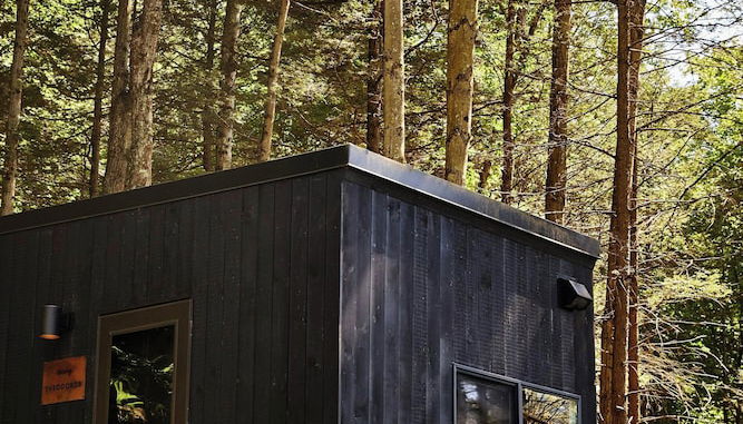 Foto 1 - Postcard Cabins Piney Woods