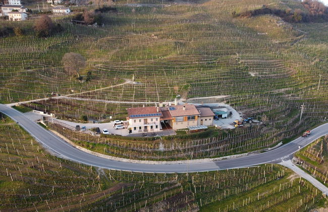 AGRITURISMO B&B CASA BORTOLIN - Photo 28