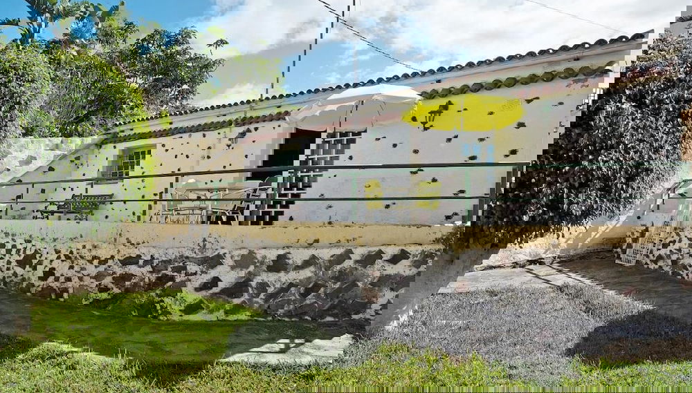 Imagem principal