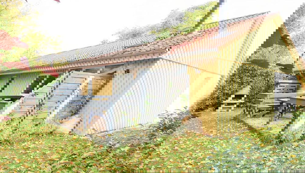 Imagem principal