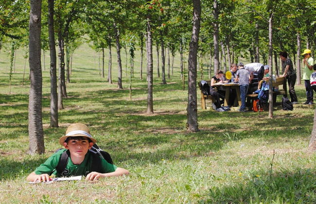 Holiday Resort Contea dei Ciliegi Pedaso - Foto 62