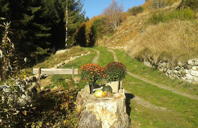 Charming Farmhouse in Cros-de-georand With Swimming Pool - Photo 52