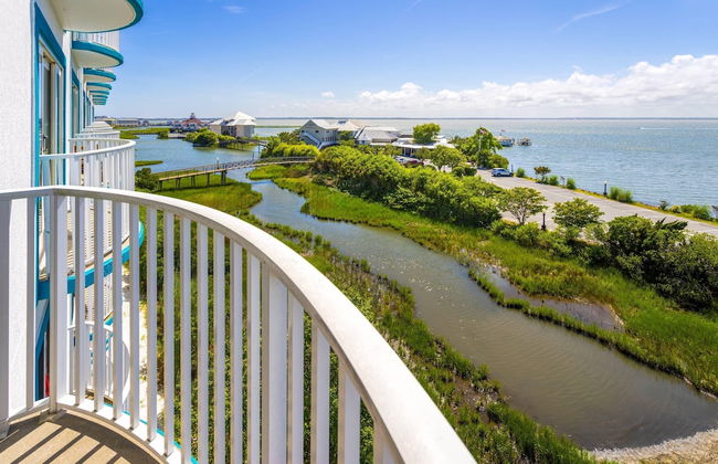 Coconut Malorie Resort Ocean City, Ascend Collection Hotel - Photo 30