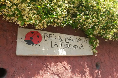 Photo 15 - La Coccinella