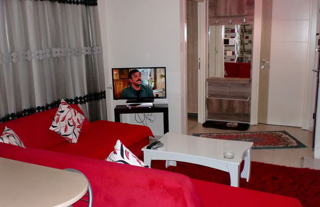MC Suite - Foto 12