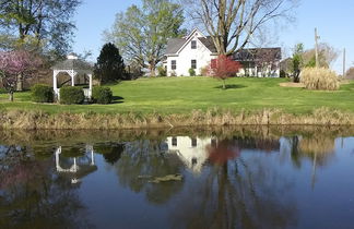 Photo 1 - Montrose Farms Alpaca Ranch