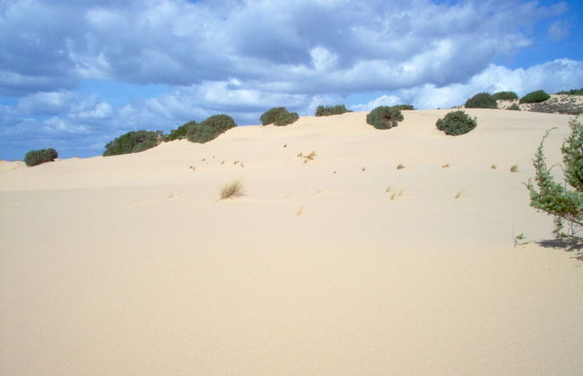 Apartment in Sardinia Near Stunning Beaches - Foto 28