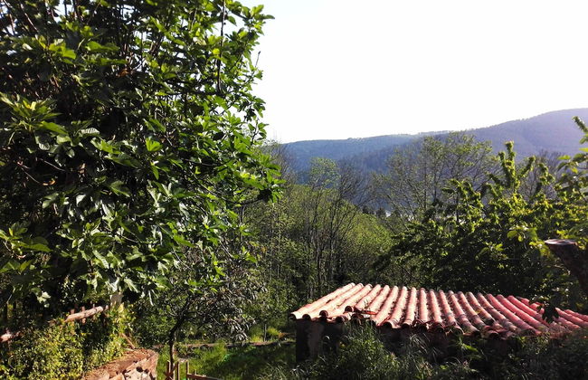 Retiro de Gondramaz - Foto 24