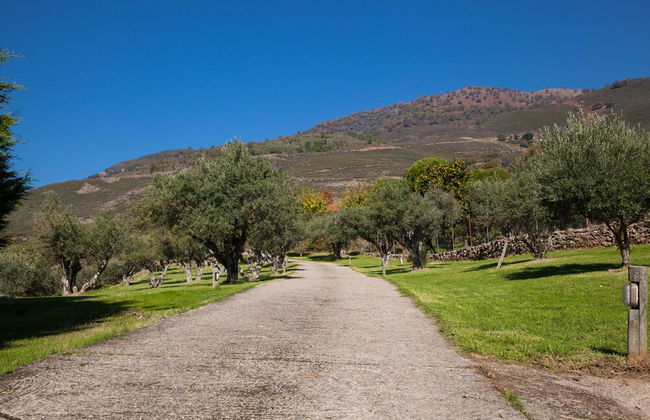 Finca La Sayuela - Foto 28