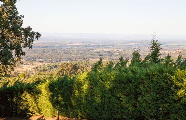 Finca La Sayuela - Foto 59
