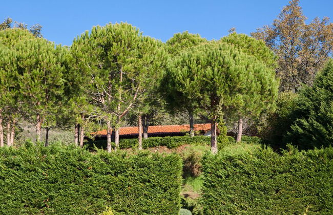 Finca La Sayuela - Foto 55