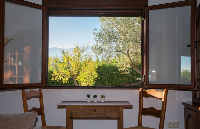 Finca La Sayuela - Photo 56