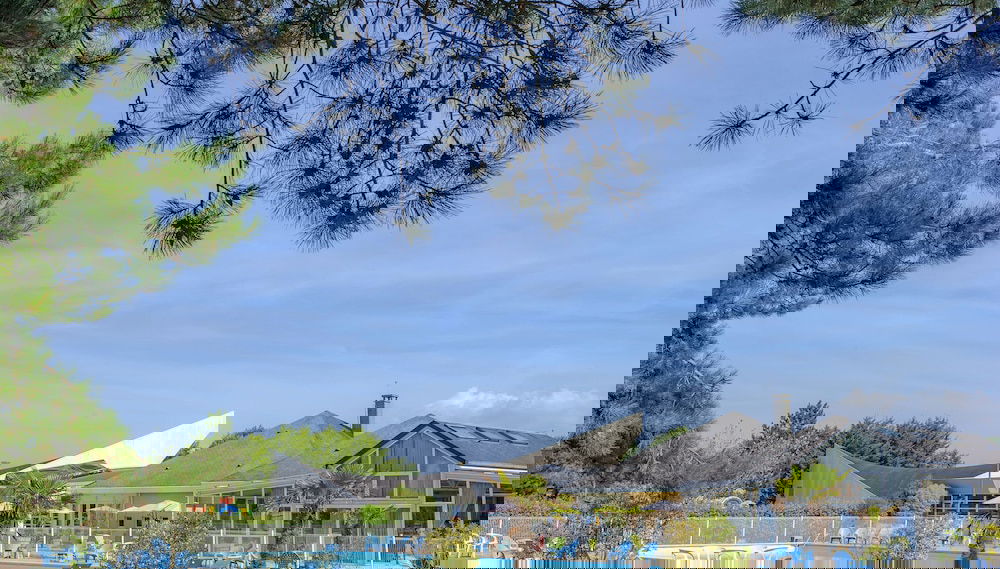 Imagem principal