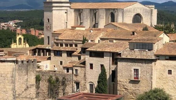 Foto 1 - AS Palau dels Alemanys