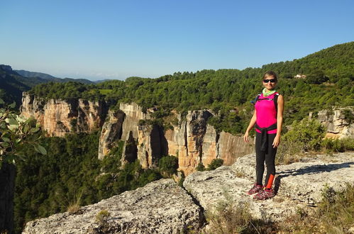 Photo 36 - El Palauet del Priorat