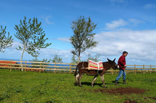 Photo 45 - Casas D'Arramada - Rural Tourism