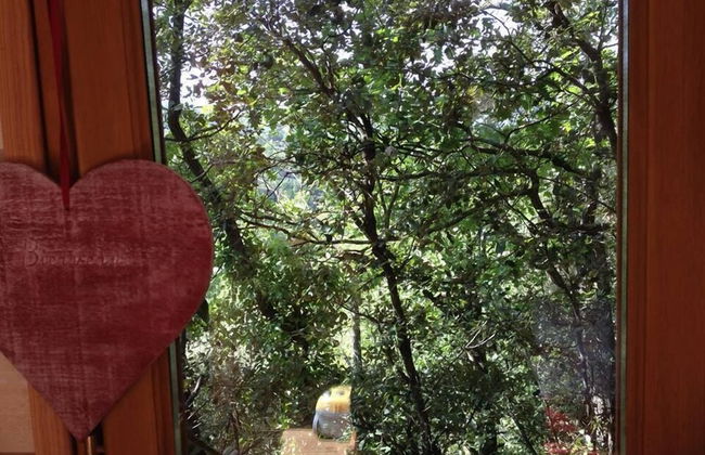 La Cabane Des Amoureux - Foto 52