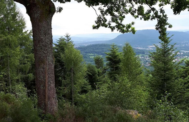 Gite Le Sapin - Foto 35