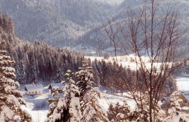 Gite Le Sapin - Foto 47