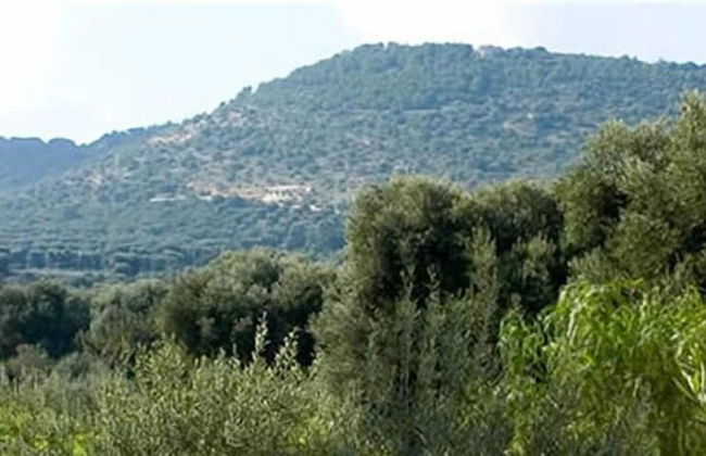 L'antico Trullo - Foto 58