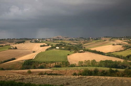 Photo 33 - Country House 'La Tana della Lepre'