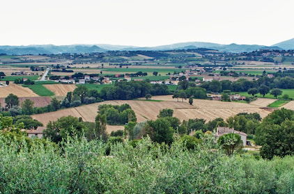 Foto 45 - Agriturismo la Palazzetta di Assisi