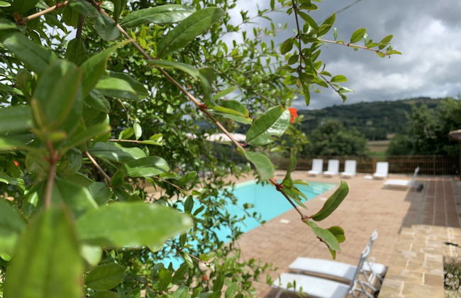 Agriturismo la Palazzetta di Assisi - Foto 40