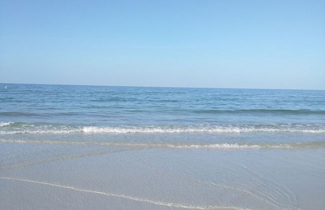 The Inn On Siesta Key - Foto 77