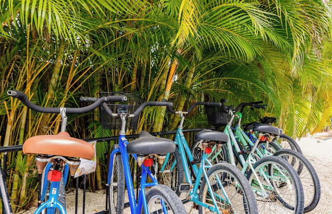 The Inn On Siesta Key - Foto 76
