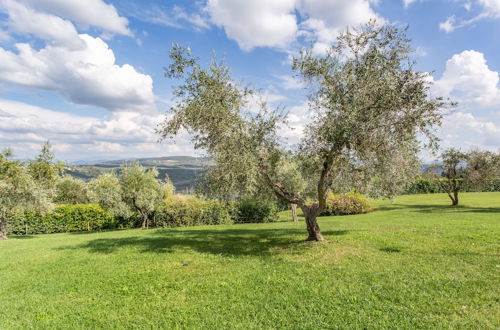 Photo 67 - Fattoria Querceto