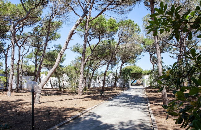 Masseria Villa - Maison by the sea - Foto 14