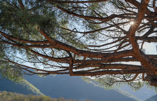 Nonno Luigino - Foto 53