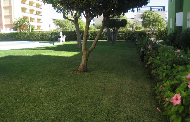 Juncos 26 - Foto 28